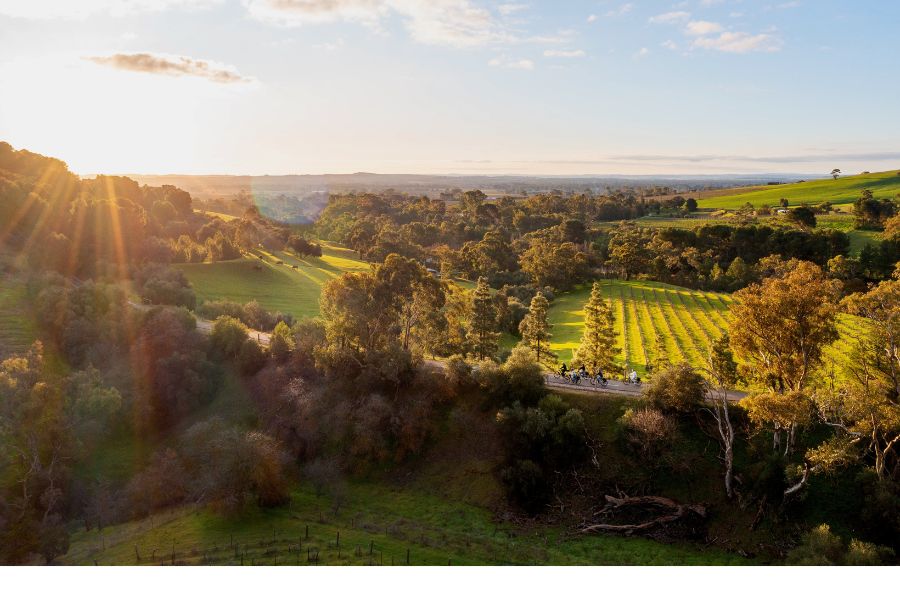 Bike About - Barossa Bike Path