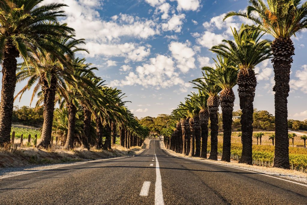 Seppeltsfield Road - Barossa