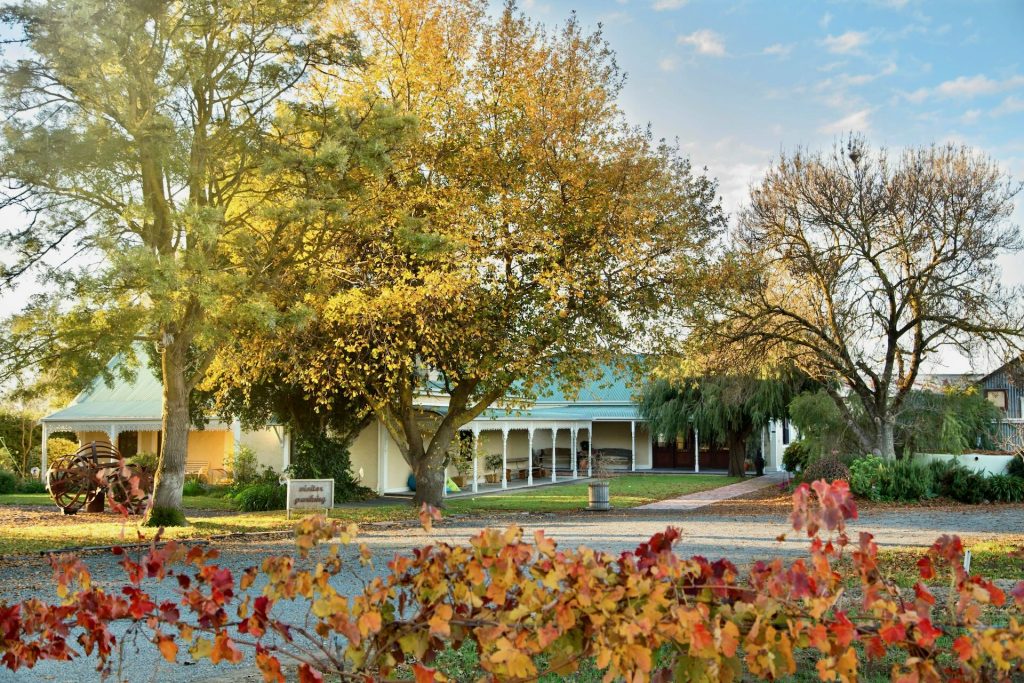 Vine Vale - Rusden Wines