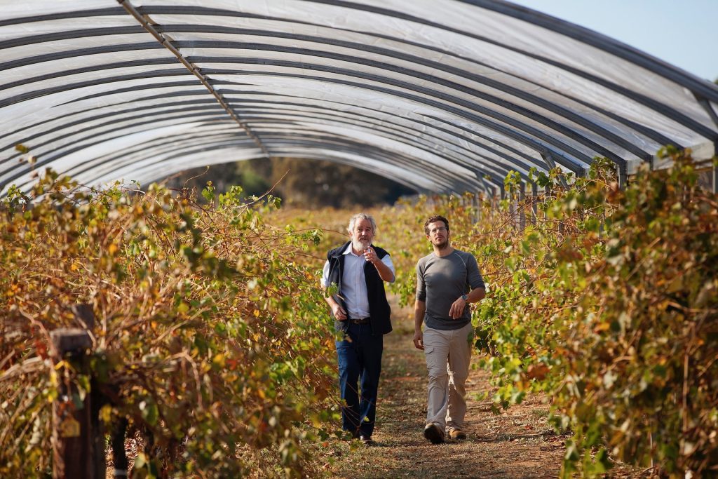 Environmental Champions