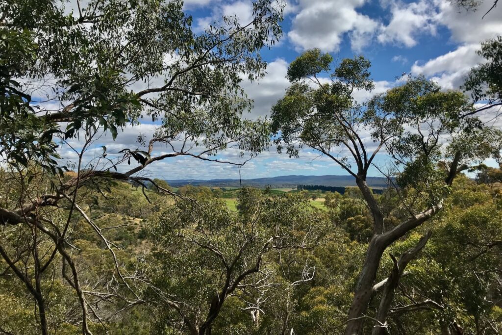 Hale Conservation Park
